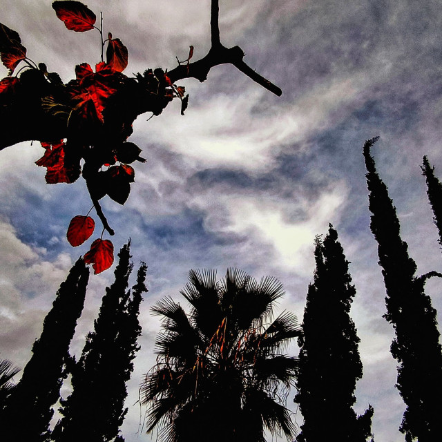 Καιρός Πρωτομαγιάς: «Θα κοιμηθούμε με άνοιξη, θα ξυπνήσουμε με χειμώνα» - Η πρόγνωση Καλλιάνου