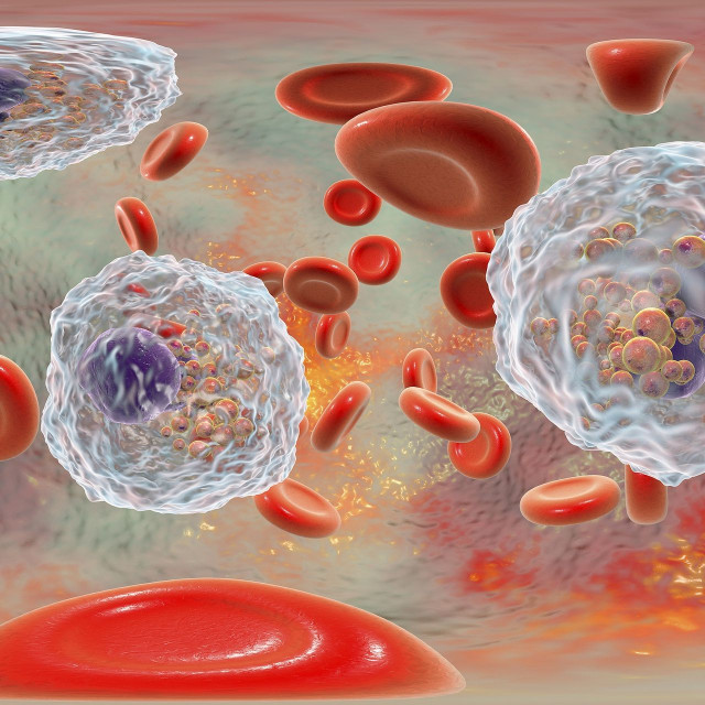 Ομάδας αίματος: Επιστήμονες λύνουν μυστήριο 50 ετών