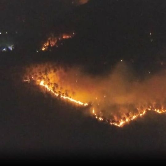Στις φλόγες μεγάλη δασική έκταση στην Τοσκάνη - Βίντεο