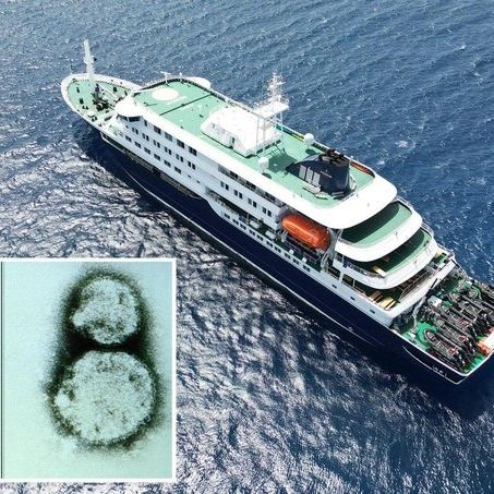 Προειδοποίηση ΠΟΥ για την παραλλαγή «Άνδεις»: Το πιο θανατηφόρο στέλεχος του χανταϊού με 3 θανάτους