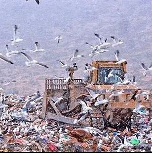Συναγερμός στην Αργεντινή: Φωτογραφήθηκε για πρώτη φορά το «σημείο μηδέν» του χανταϊού
