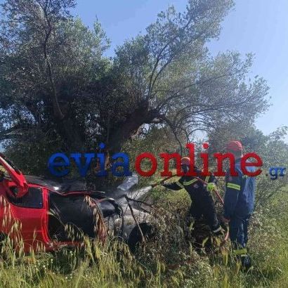 Εύβοια: Έχασε τον έλεγχο του αυτοκινήτου του και κατέληξε σε ελιά - Έπιασε φωτιά το ΙΧ