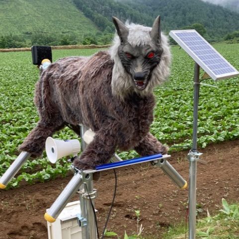 «Monster Wolves»: Ο στρατός των ρομπότ - λύκων της Ιαπωνίας για να τρομάξει τις αρκούδες