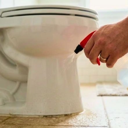 Ψεκάζοντας ξίδι γύρω από τη λεκάνη: Γιατί το προτείνουν οι ειδικοί και σε τι βοηθά