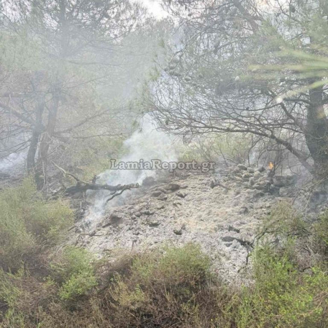 Πυρκαγιά από κεραυνό σε δύσβατο σημείο πάνω από την Αταλάντη