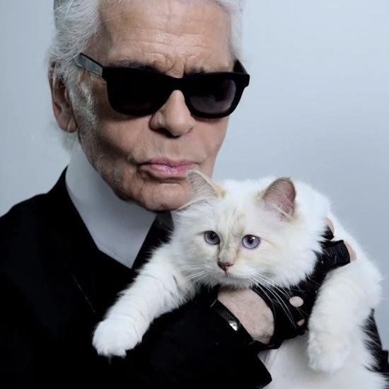 Άφραγκη η Choupette, η γάτα κληρονόμος του σχεδιαστή Λάγκερφελντ - Πού πήγε το 1,5 εκατ δολάρια;