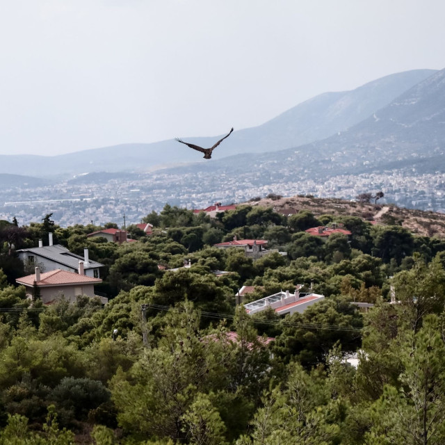 Χωρίς ρεύμα η Νέα Πεντέλη - Προγραμματισμένη διακοπή και την Τετάρτη