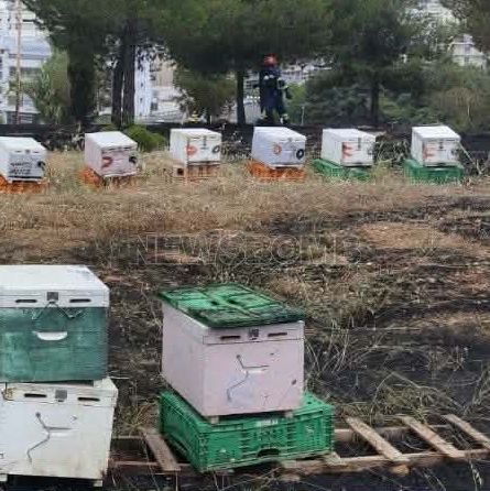 Φωτιά στο Άλσος Βεΐκου: Από μελίσσια ξέσπασε η φωτιά, αναζητούνται οι μελισσοκόμοι