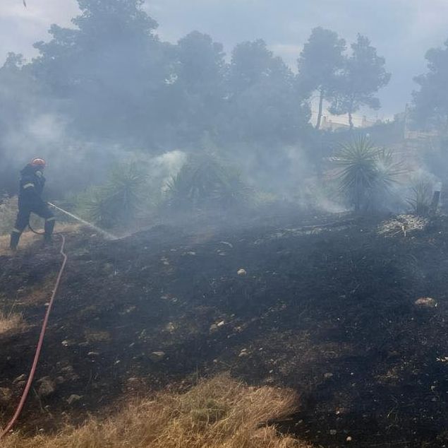 Φωτιά στο Άλσος Βεΐκου: Αθώος ο μελισσοκόμος για τον εμπρησμό - Γιατί δέχεται απειλές