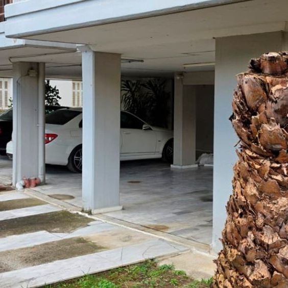 Τρίκαλα: Προφυλακίστηκε ο 86χρονος που πυροβόλησε και σκότωσε τον αδερφό του