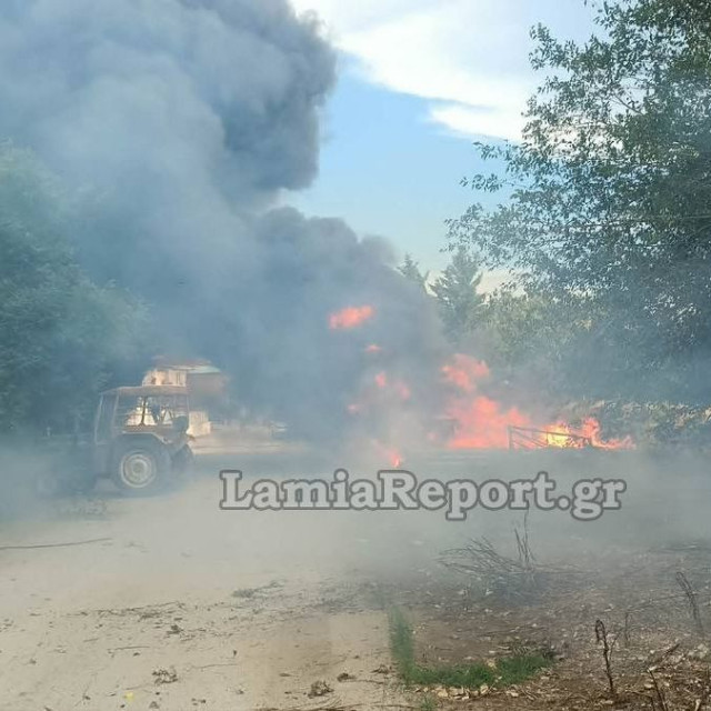 Φθιώτιδα: Δέντρο έπεσε, προκαλώντας βραχυκύκλωμα και πυρκαγιά