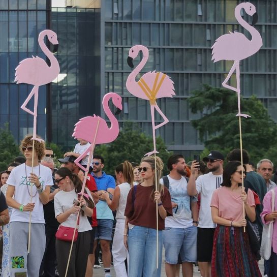 Σάλος για το «νησί Κούσνερ» στην Αλβανία: Ο Ράμα και «Επανάσταση των Φλαμίνγκο»