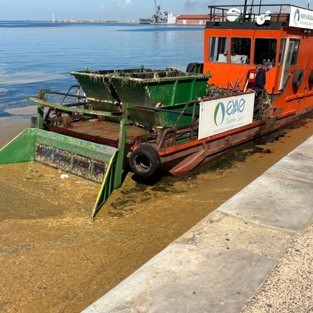 Η «ερυθρά παλίρροια» φέρνει δυσοσμία και καφέ βλέννα στο Θερμαϊκό – Πού οφείλεται το φαινόμενο