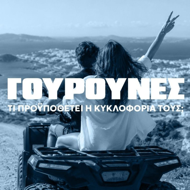Γουρούνες: Από τουριστική «ατραξιόν» των νησιών σε διαρκή κίνδυνο – «Το πρόβλημα είναι ο άνθρωπος»