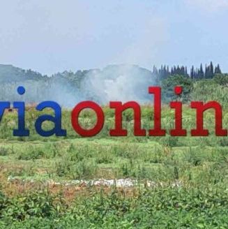 Φωτιά σε υγροβιότοπο στην Εύβοια - Στο σημείο ισχυρές πυροσβεστικές δυνάμεις