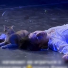 Ρωμαίος και Ιουλιέτα: Το τραγικό φινάλε σε παράσταση γράφτηκε... αλλιώς λόγω μια γάτας - Βίντεο