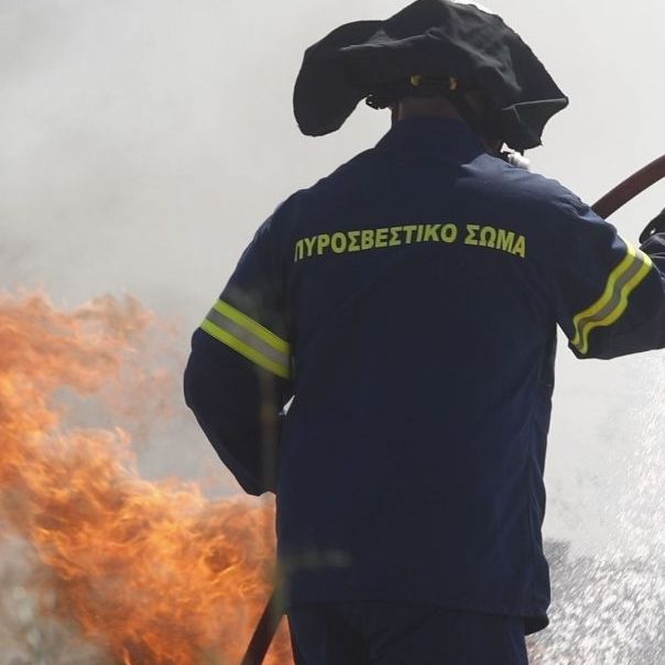 Θεσσαλονίκη: Φωτιά στο Τριάδι κοντά σε σπίτια – Άμεση επέμβαση της Πυροσβεστικής