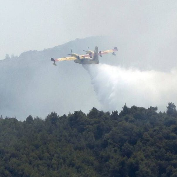 Φωτιά τώρα σε αγροτική έκταση στη Φθιώτιδα - Σηκώθηκαν 2 αεροσκάφη