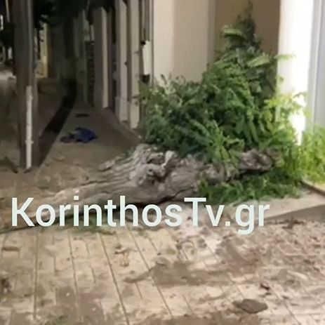 Κιάτο: Σοβαρό τροχαίο με αυτοκίνητο που «ξήλωσε» δέντρο