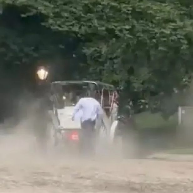 Τραγωδία στο Σέντραλ Παρκ: 18χρονος τουρίστας σκοτώθηκε όταν αφηνιασμένο άλογο τον έριξε από άμαξα