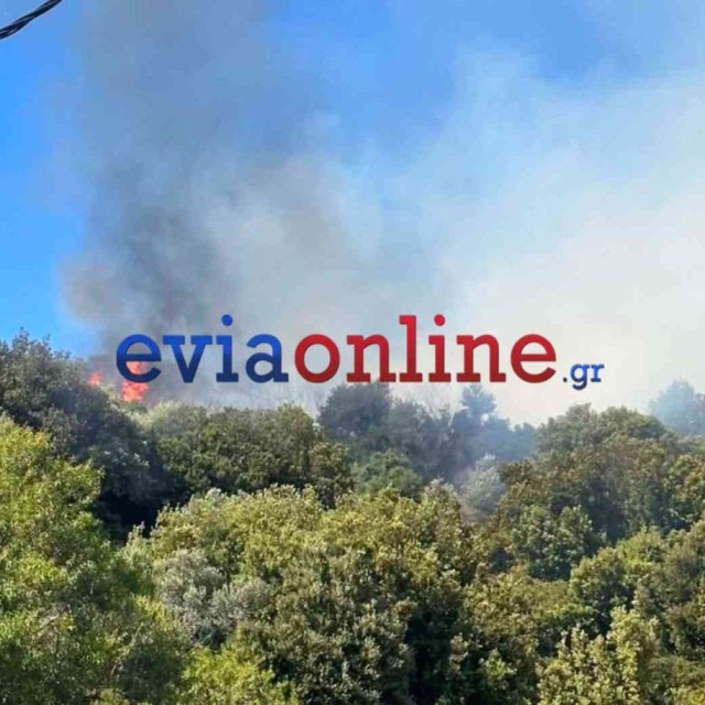 Μεγάλη φωτιά τώρα στην Εύβοια μεταξύ Αλμυροποτάμου και Μεσοχωρίων - Ήχησε το 112