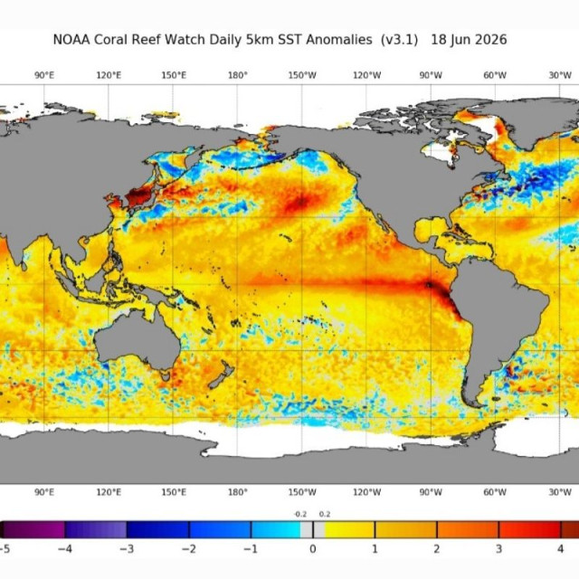 Καιρός: El Niño, Πολικός Στρόβιλος και Αρκτική - Τι φέρνουν για την Ελλάδα τον φετινό χειμώνα