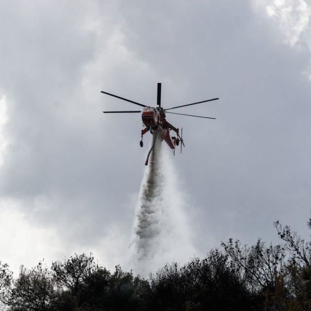 Υπό έλεγχο δασική πυρκαγιά στην Ημαθία - Οριοθετήθηκε η φωτιά στη Ροδόπη