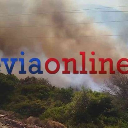 Φωτιά Εύβοια: Βελτιωμένη η εικόνα στον Αλμυροπόταμο - Μάχη των πυροσβεστών με διάσπαρτες εστίες