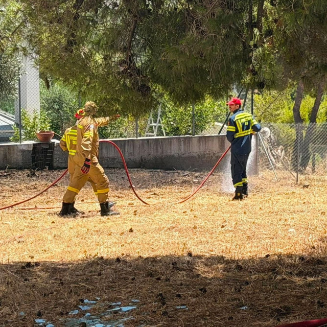 Φωτιά στη Διώνη στο Πικέρμι