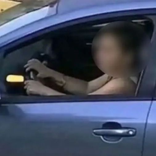 Γαστούνη: Ταυτοποιήθηκε η οδηγός που πάτησε το αδέσποτο σκυλί με το αυτοκίνητό της