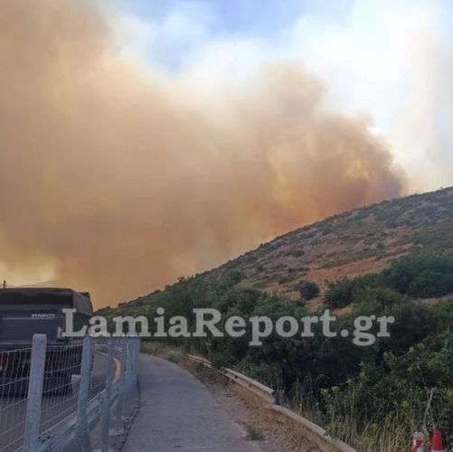 Μεγάλη φωτιά στο Ακραίφνιο Βοιωτίας: Έκλεισε η εθνική για 25 χιλιόμετρα - Επιχειρούν 11 αεροσκάφη