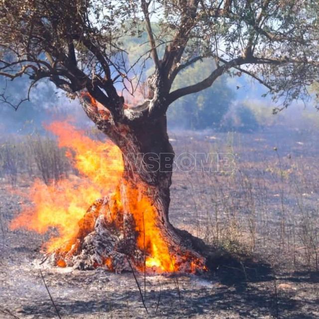 Φωτιά στα Σπάτα: «Μεγάλο μέτωπο με δυνατούς ανέμους και συνέχεια αναζωπυρώσεις», λέει ο δήμαρχος