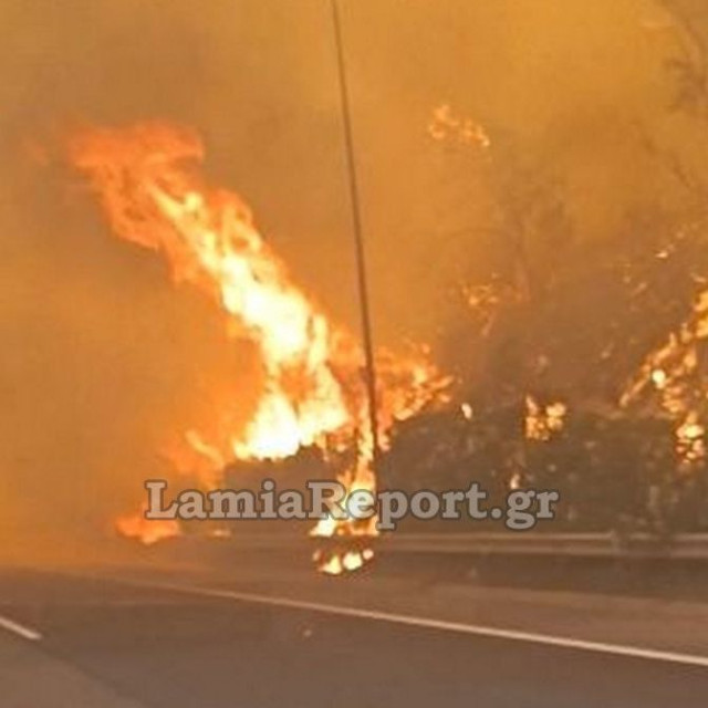 Βίντεο από τη φωτιά στο Ακραίφνιο: Οχήματα περνούν δίπλα από τις φλόγες στην εθνική οδό