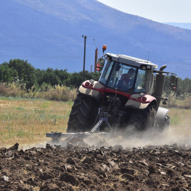 Αυξημένες οι συνδεδεμένες ενισχύσεις για το 2025 – Έως 608 ευρώ σε 19 καθεστώτα