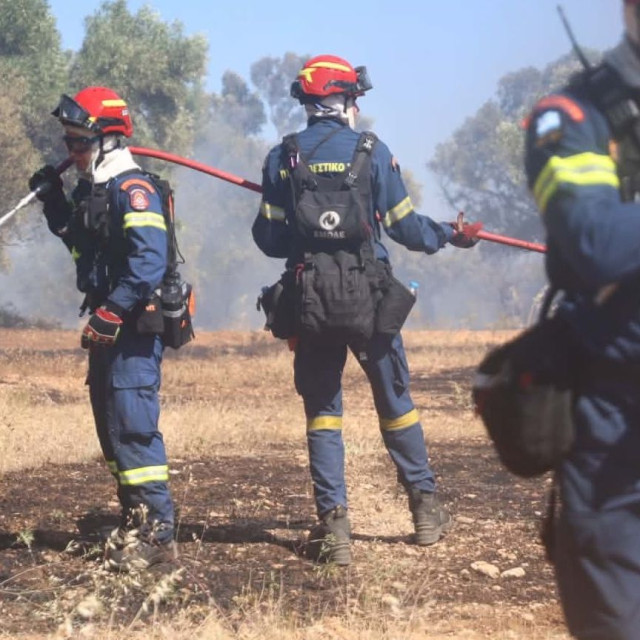 Βοιωτία: Οριοθετήθηκε η φωτιά στον Ορχομενό - Δεν απείλησε σπίτια