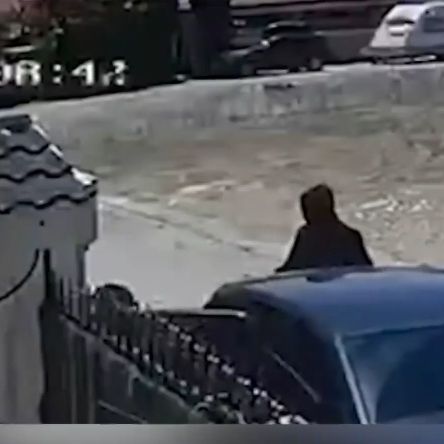 Θρακομακεδόνες: Τρόμος για ιδιοκτήτρια- Διαρρήκτες πήδηξαν τη μάντρα και την ψέκασαν με σπρέι