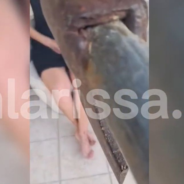 Απίστευτες εικόνες στη Λάρισα: Έκανε ζωντανή μετάδοση ο 50χρονος που είχε όμηρο τη γυναίκα του