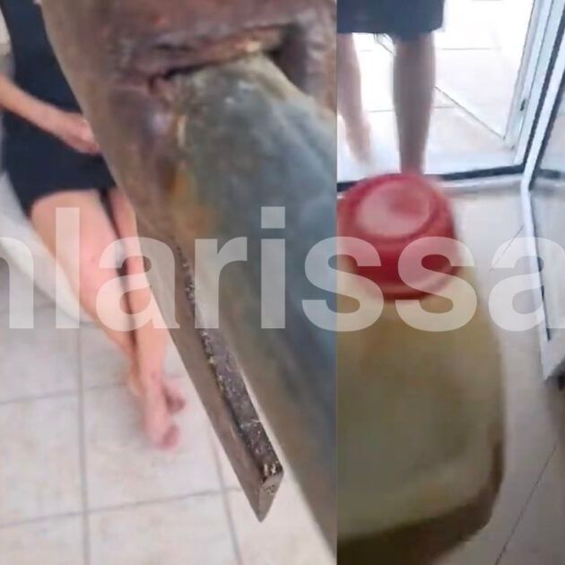 Λάρισα: Έκανε live στο Facebook κρατώντας όμηρο τη σύζυγό του με τσεκούρι και μπιτόνι βενζίνης!