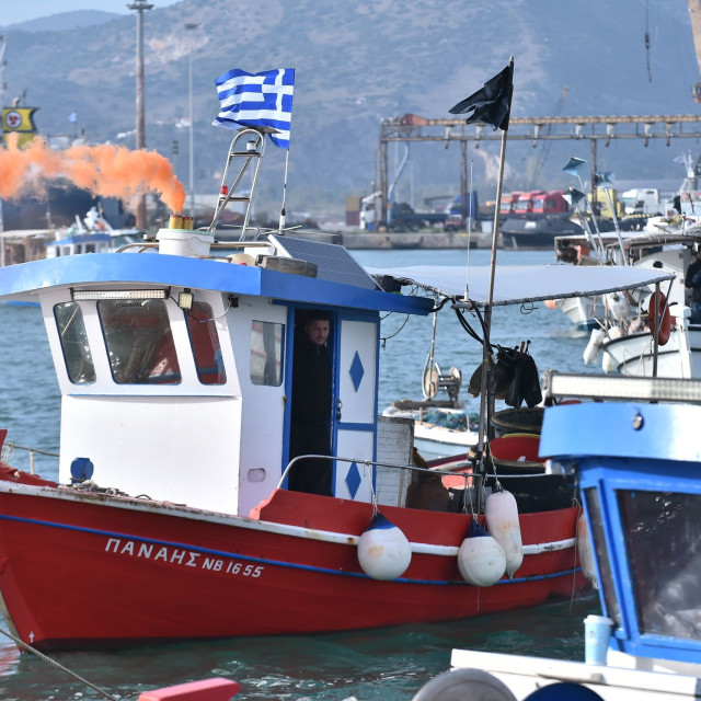 Λαγοκέφαλοι: Ξεκινά κι επίσημα το σαφάρι για τον αφανισμό των πληθυσμών τους στις ελληνικές θάλασσες
