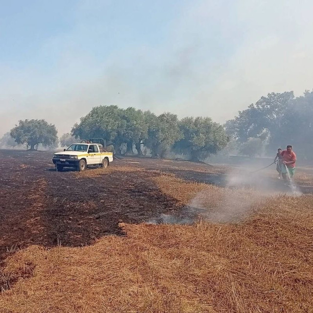 Ηλεία: Σε ύφεση και χωρις ενεργό μετωπο η πυρκαγιά στη Βάρδα
