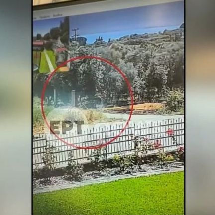 Αγρίνιο: Συνελήφθη εμπρηστής για τη φωτιά στην Παραβόλα - Δείτε βίντεο