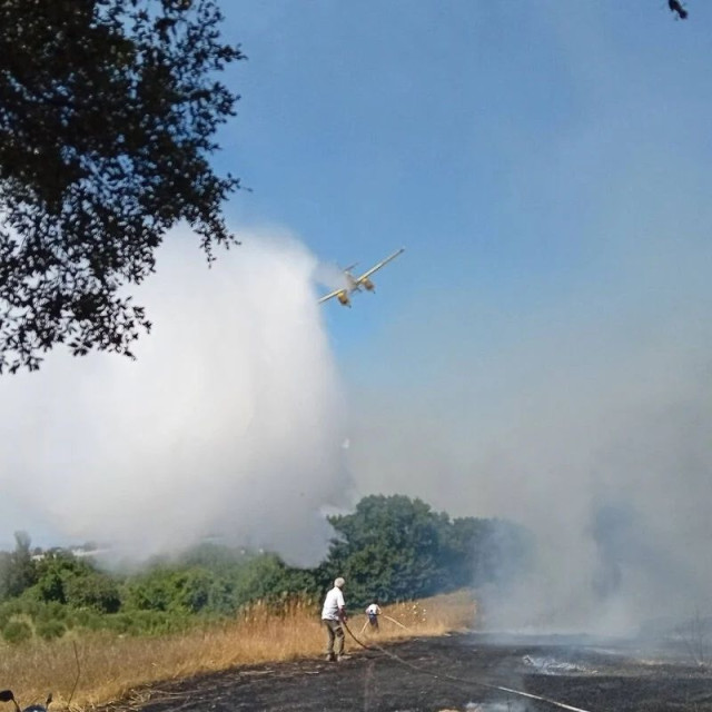 Ηλεία: Πυρκαγιά σε αγροτοδασική έκταση στη Βάρδα - Καταστράφηκαν θερμοκήπια, κινδύνευσε εκκλησάκι