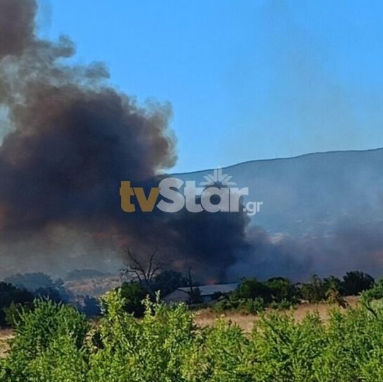 Φωκίδα: Φωτιά στη Μαριολάτα - Σηκώθηκαν εναέρια μέσα