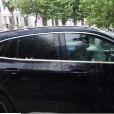Αλβανία: Ταραχές κατά της επένδυσης του γαμπρού Τραμπ - Πέταξαν αυγά σε αυτοκίνητα βουλευτών