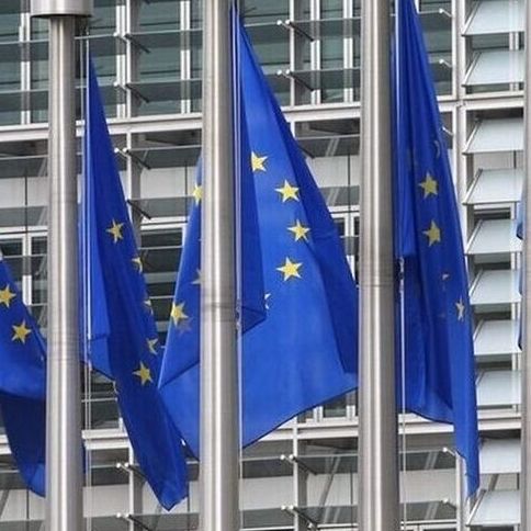Αποφασιστικότερη δράση απαιτείται για την πάταξη της απάτης στην ΕΕ