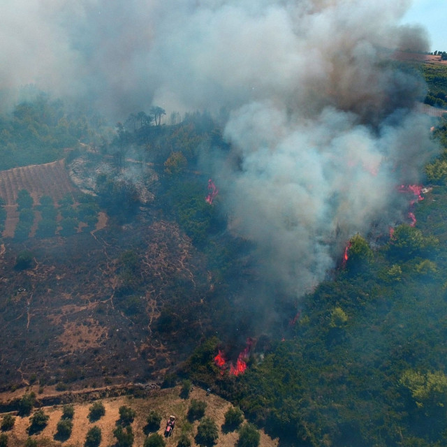 ΕΛΓΑ: Αποζημιώσεις 1,2 εκατ. ευρώ σε 441 δικαιούχους για τις ζημιές από πυρκαγιές του 2022