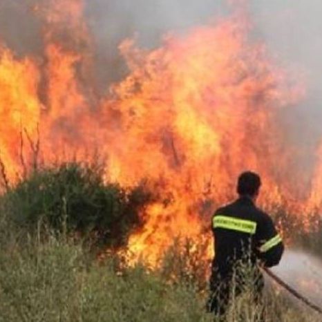 Φωτιά στην Αγία Ελένη Τροιζήνας: Νέο μήνυμα 112 για απομάκρυνση προς το Άνω Φανάρι