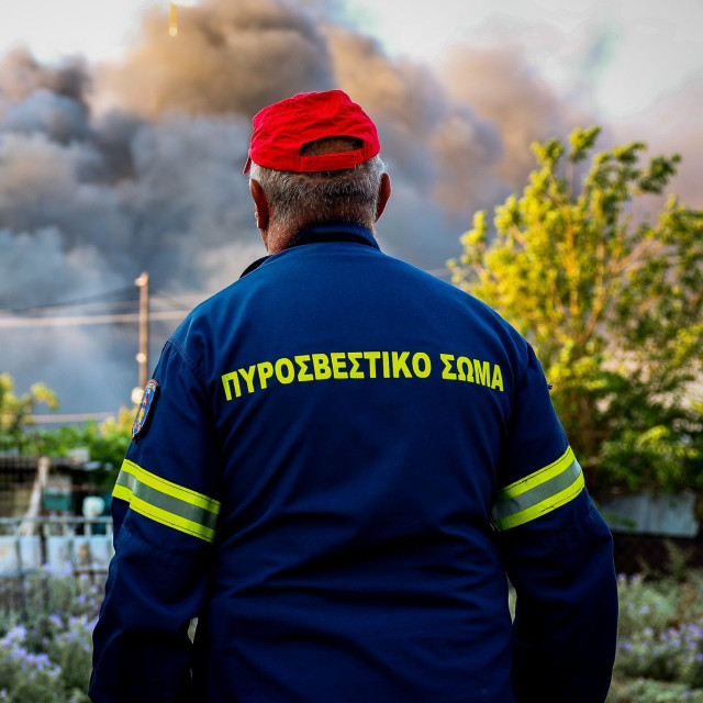 Εύβοια: Συνελήφθησαν δύο ανήλικοι και οι γονείς τους για πρόκληση φωτιάς στην Ερέτρια