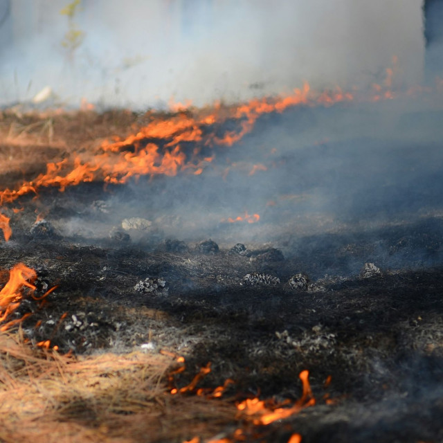 Χαλκιδική: Απαγόρευση κυκλοφορίας σε τρεις δήμους λόγω υψηλού κινδύνου εκδήλωσης φωτιάς