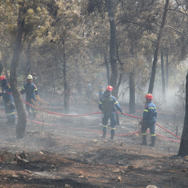 Θεσσαλονίκη: Απαγόρευση κυκλοφορίας σε δασικές περιοχές λόγω υψηλού κινδύνου πυρκαγιάς